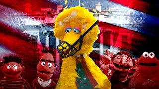 Muzzling Big Bird:  Trump  Tries to Silence the ‘Liberal Media’ of PBS and NPR