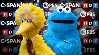 The Assault on Good-for-You TV: C-SPAN and PBS Teeter as Trump Attacks