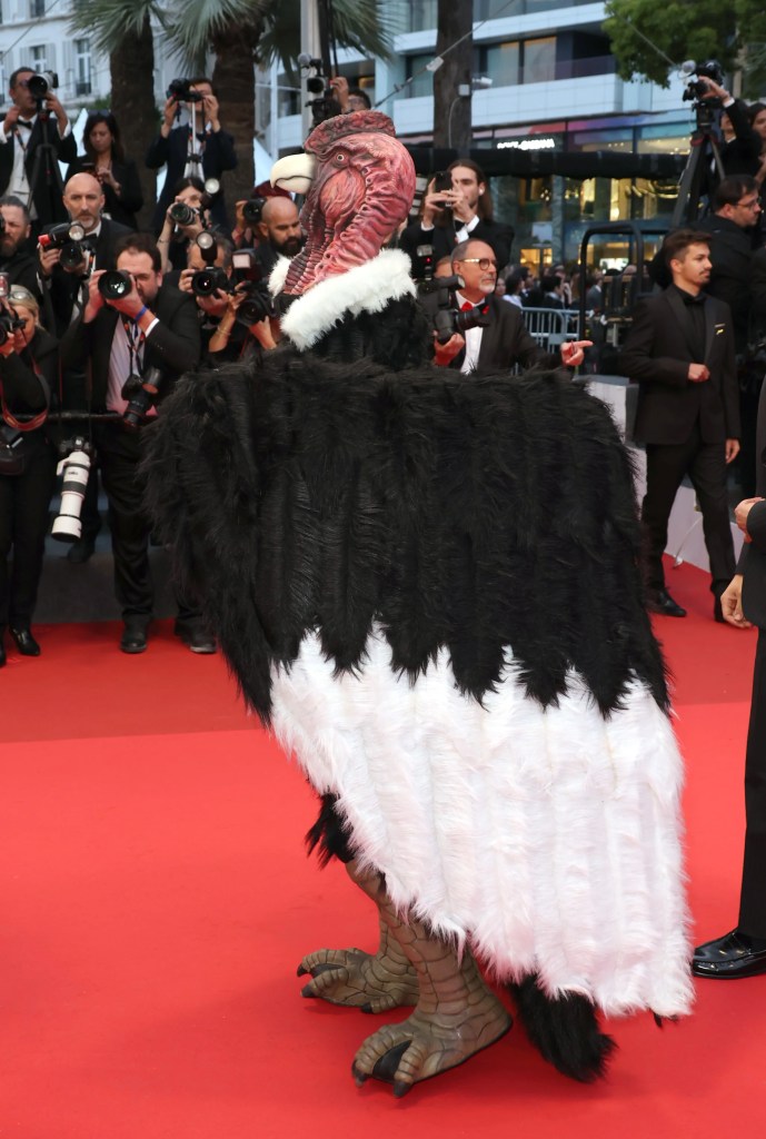 To Die My Love, CANNES 2025