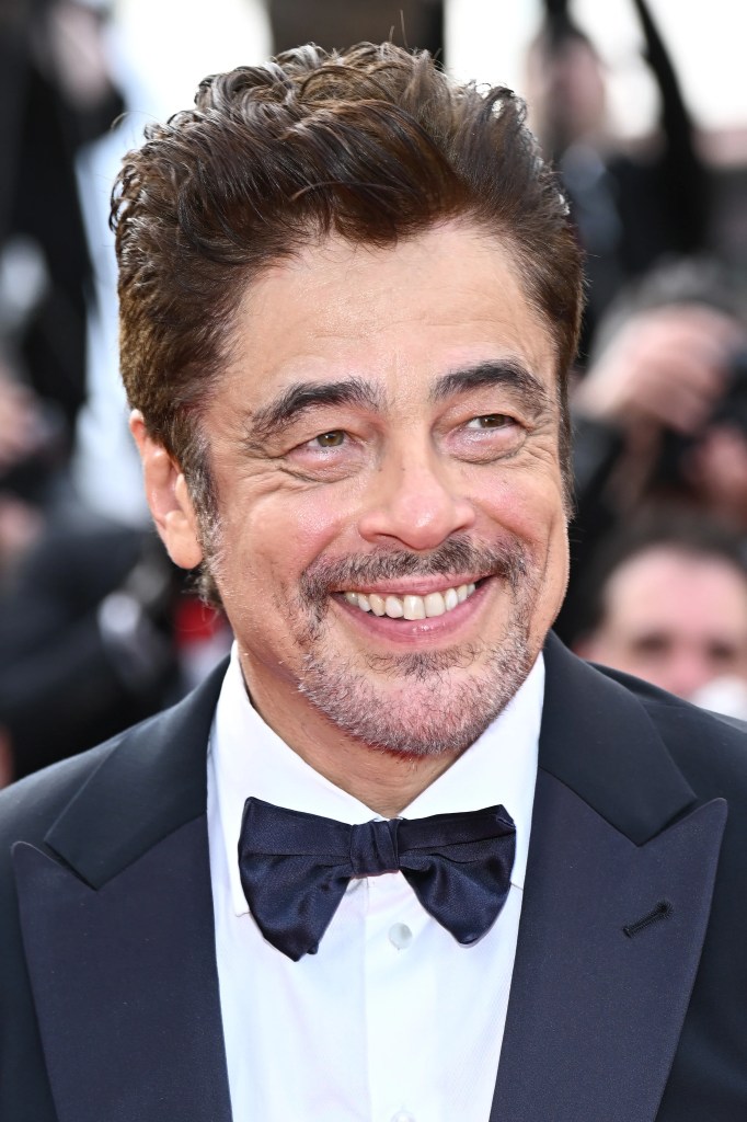 Benicio del Toro, Cannes 2025
