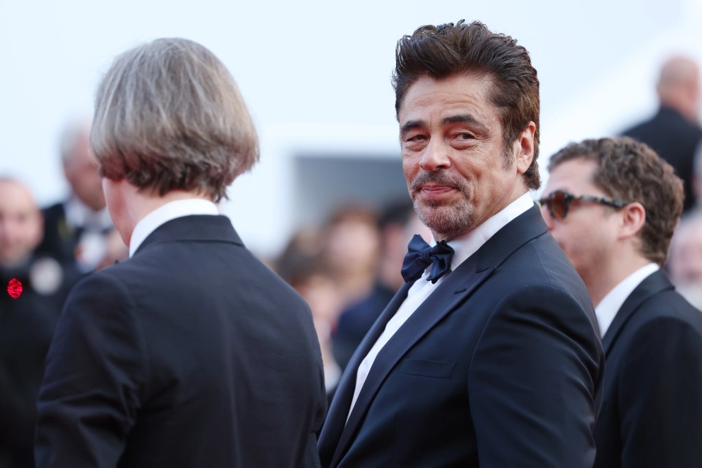 Benicio del Toro, Cannes 2025