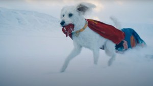 Krypto the Superdog (Credit: Warner Bros.)