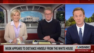 ‘Morning Joe’ Mocks Elon Musk for ‘Desperately Trying’ to Distance Himself From Trump | Video