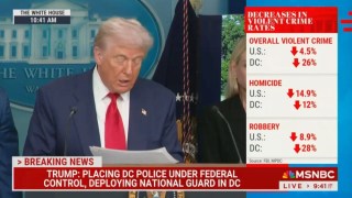MSNBC Fact-Checks Trump With Graphic of DC Crime Rate in Decline – as He Compares It to Baghdad