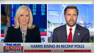 JD Vance Compares Kamala Harris to Jeffrey Epstein in Inflation Policy Attack | Video
