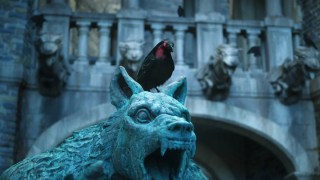 Who Is the Avian Killer in ‘Wednesday’ Season 2, Part 1?